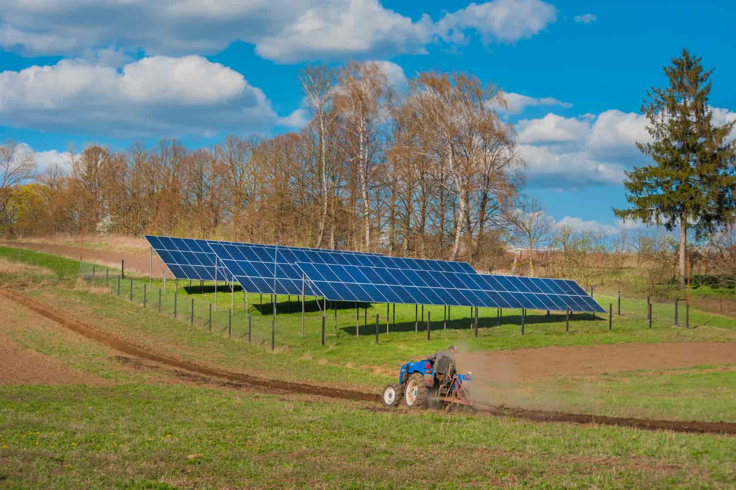 Paneles solares en una instalación de energía renovable